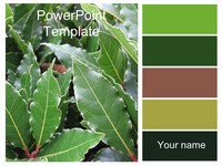 Green Leaves PowerPoint Template thumbnail