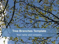 Free Tree Branches background Template thumbnail