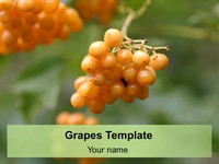 Grapes PowerPoint Template thumbnail