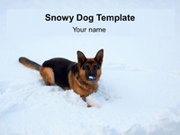 Snowy Dog Template thumbnail
