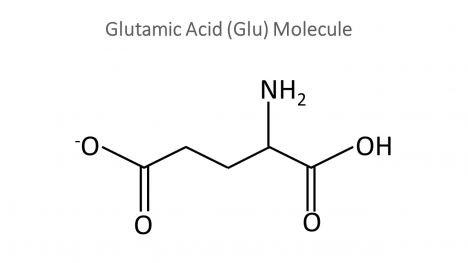 Glutamate Molecule PowerPoint Template inside page