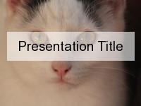 White Cat PowerPoint Template thumbnail